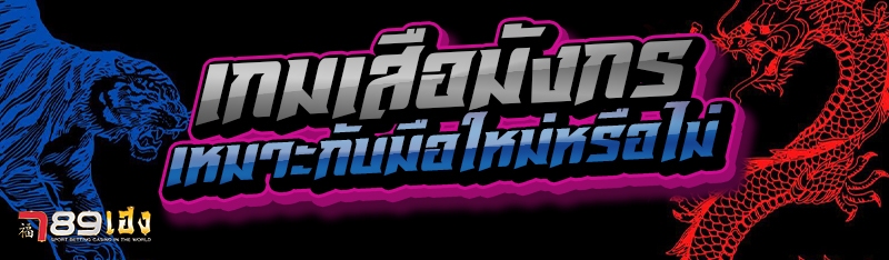 เกมเสือมังกร เหมาะกับมือใหม่หรือไม่